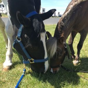 Meet your Posher, Kendra